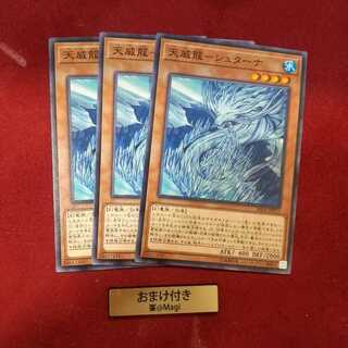 天威龍-シュターナ ノーマル