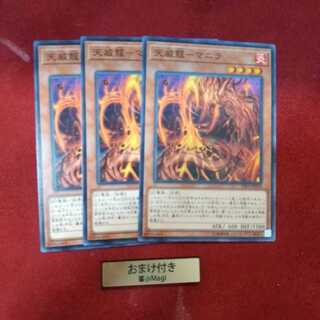 天威龍-マニラ ノーマル