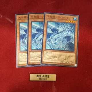 天威龍-シュターナ ノーマル　他オーダー