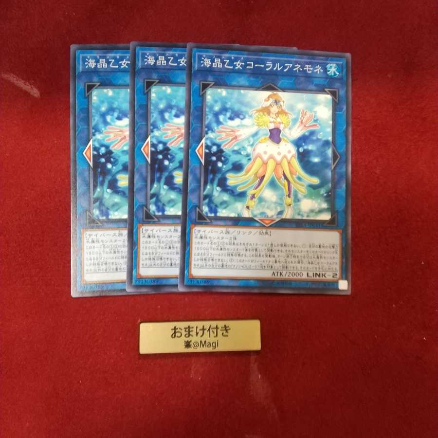 海晶乙女コーラルアネモネ ノーマル