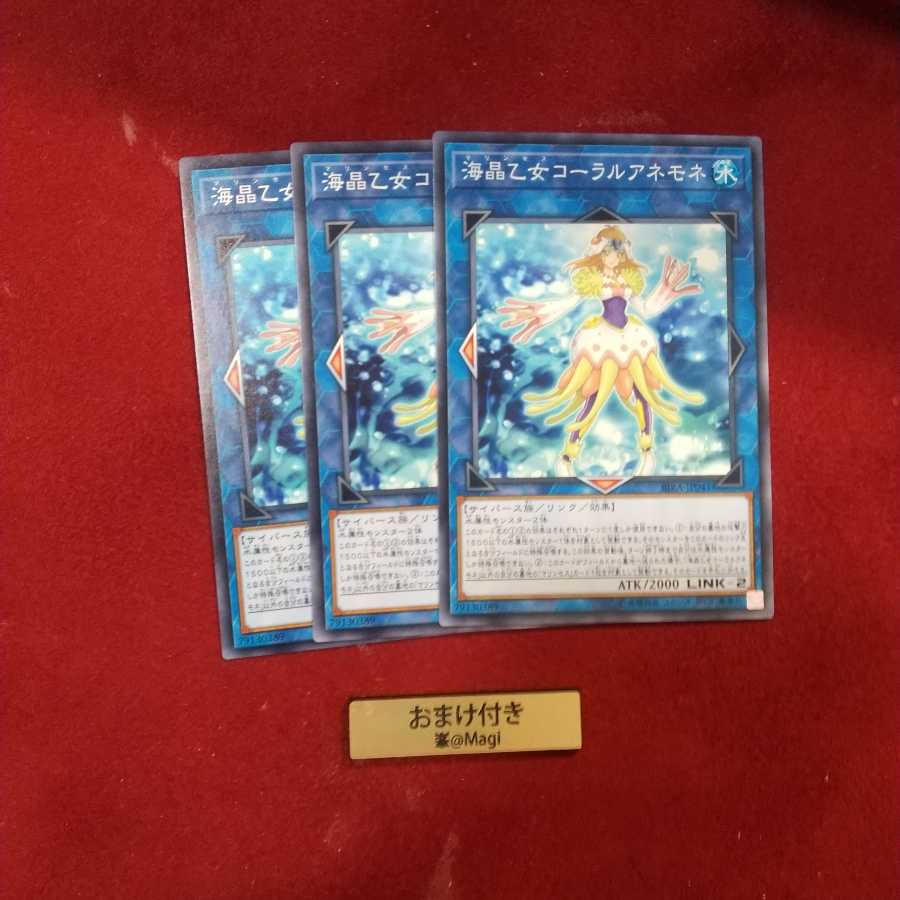 海晶乙女コーラルアネモネ ノーマル