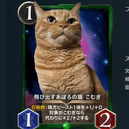 飛び出すあぽろの猫 こむぎ