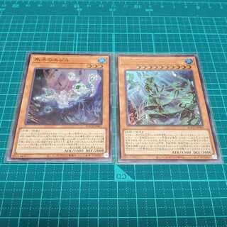 【MS様専用】氷水のエジル+氷水帝コスモクロア+その他