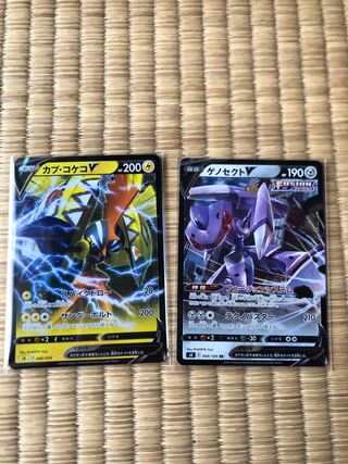 カプ・コケコV ゲノセクトV