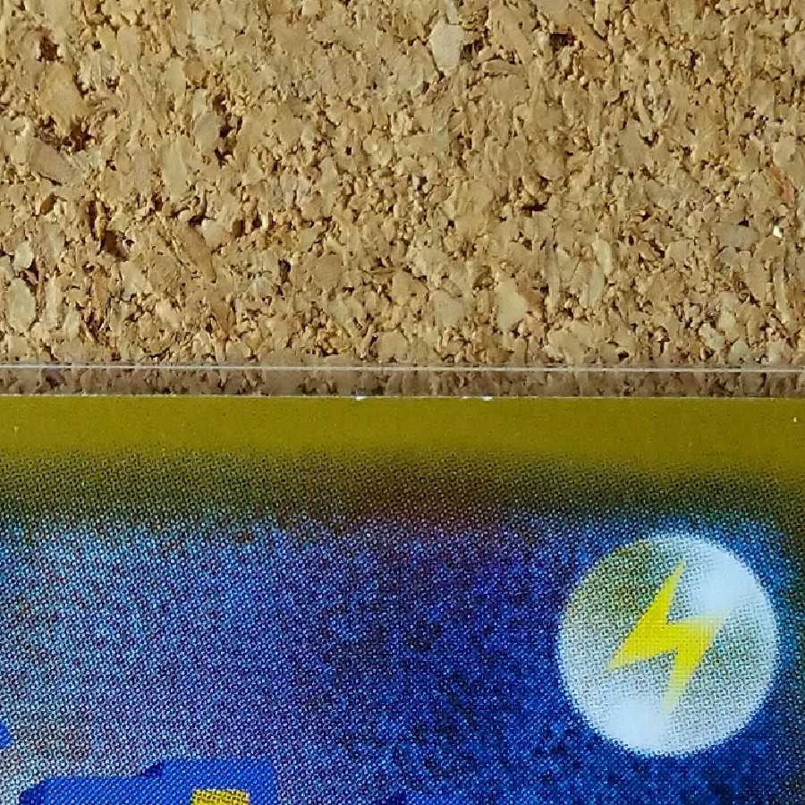 Viridian Forest 2 sheets 165/173 [1148].