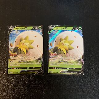 ワタシラガV 2枚セット