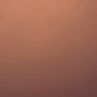 【募集】増殖するG 英語版 レリーフ