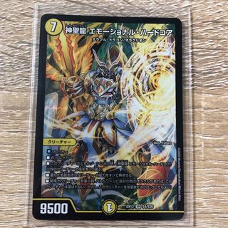 神聖龍 エモーショナル・ハードコア