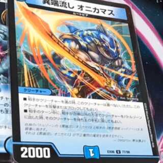 heretic brook trout (Salvelinus fontinalis)