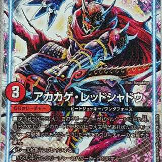 アカカゲレッドシャドウ2枚セット