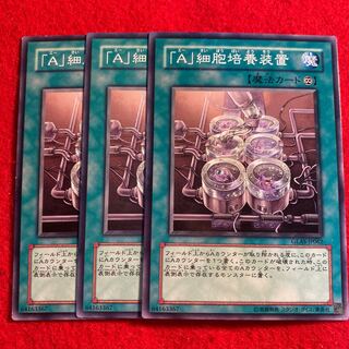 「A」細胞培養装置☆3351