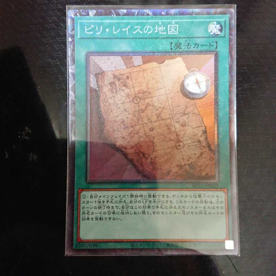 Piri Reis Map Collector's Rare