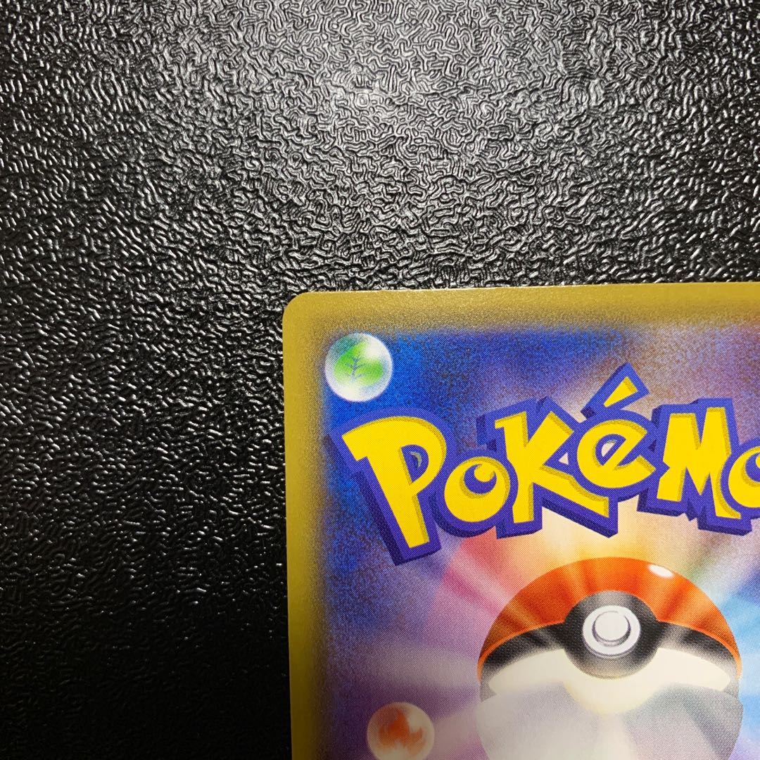 シルク様専用　ギャラドスV SR