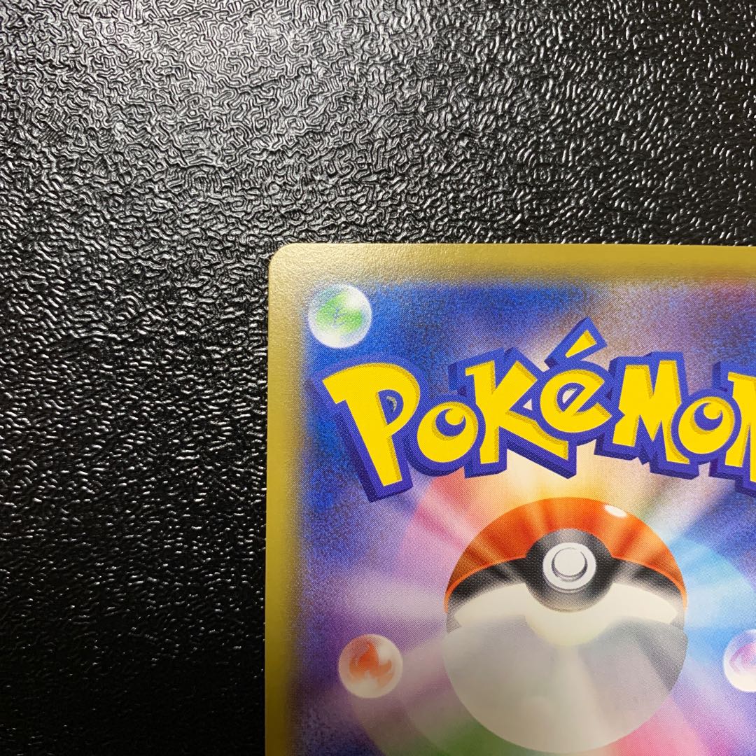 シルク様専用　カジリガメV SR