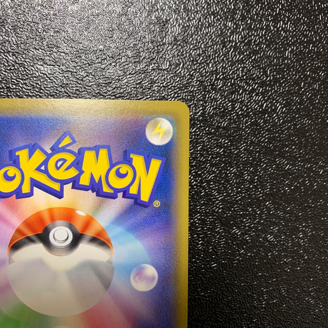 シルク様専用　カジリガメV SR