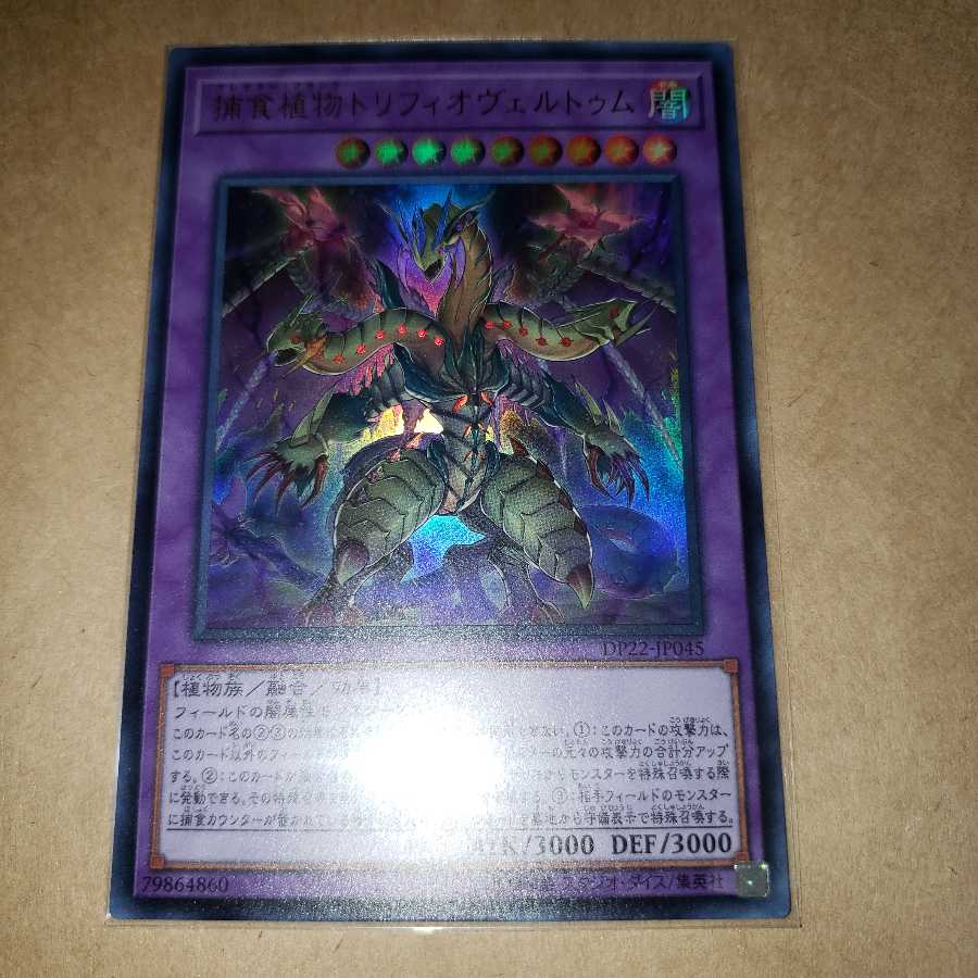 捕食植物トリフィオヴェルトゥム ウルトラレア