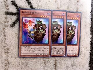 熟練の栗魔導士 ノーマル　3枚♡おまけ付き♡