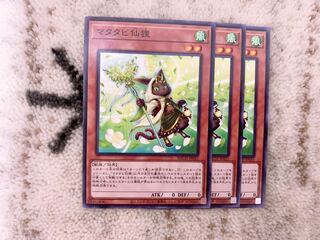 Matatabi Senkaku Normal 3 handsome handsome handsome handsome