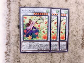 Iroha Momiji Normal 3 sheets ♡ extra handsome