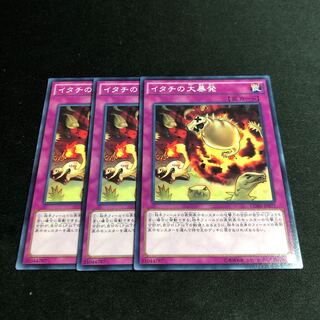 イタチの大暴発 ノーマル　3枚
