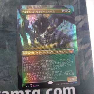 ベレドロス・ウィザーブルーム 拡張 Foil 日本語
