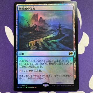 Shipwreck Marsh foil