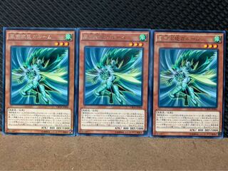 Popotan] Yu-Gi-Oh! 7941 Garum the Storm Vassal 3 rare