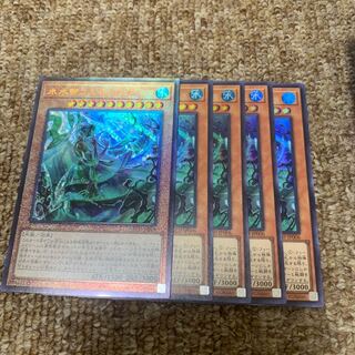 氷水帝コスモクロア