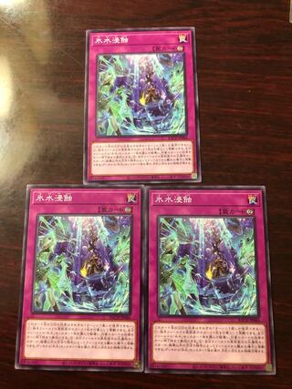 氷水浸蝕3枚セット