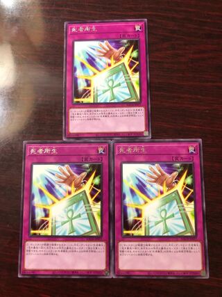 死者所生3枚セット