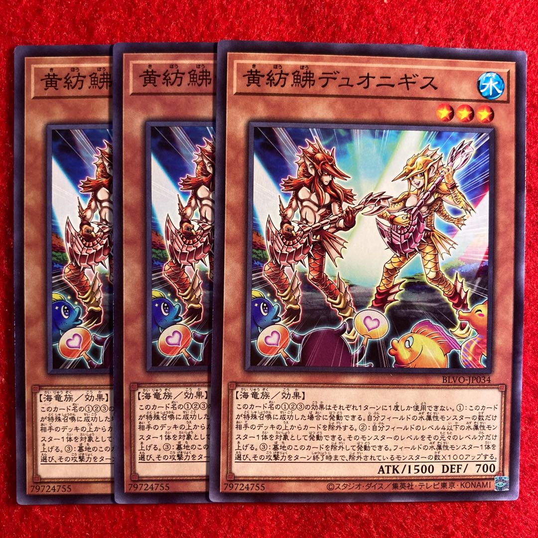 黄紡鮄デュオニギス☆3425