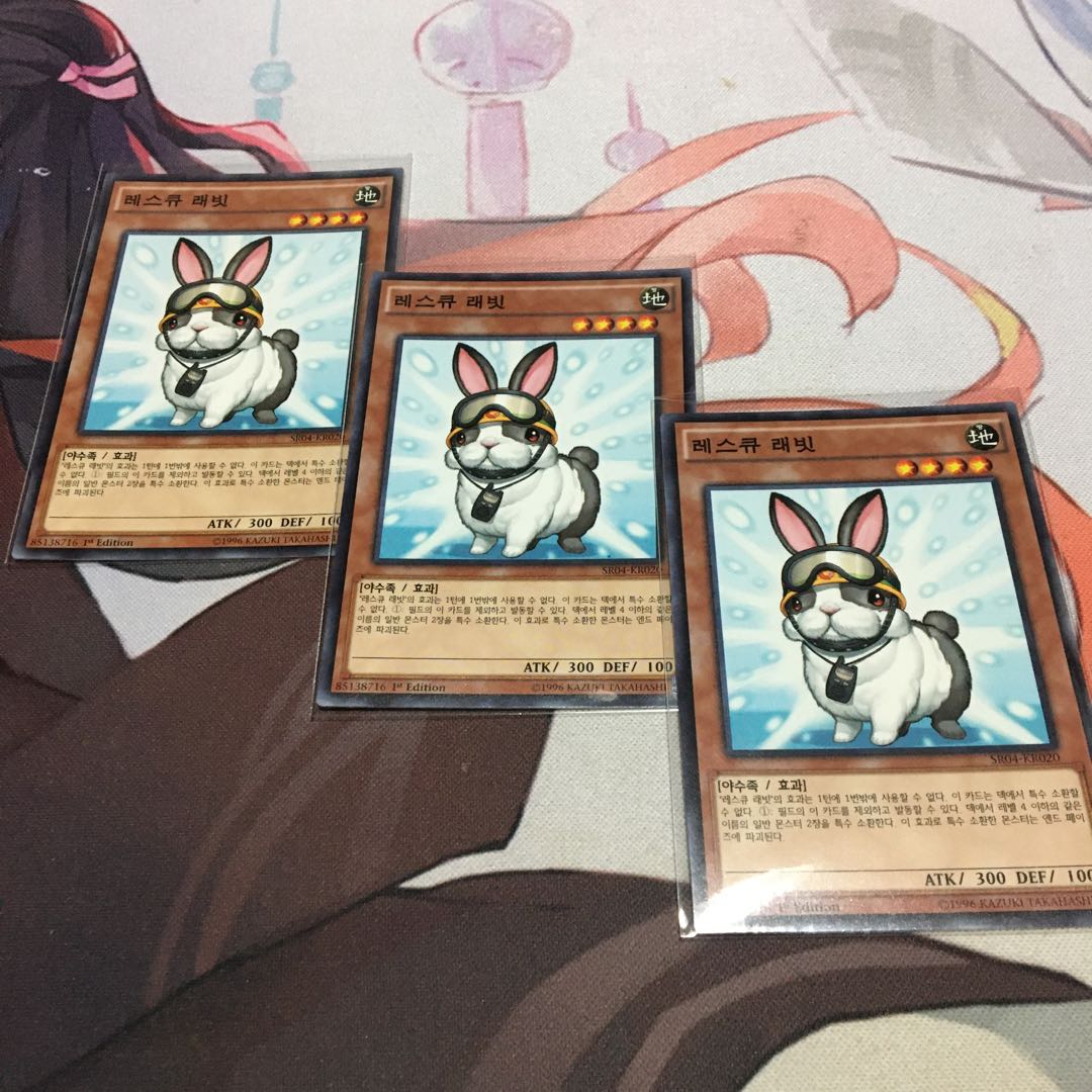 Korea] Rescue Rabbit Normal