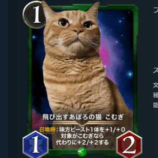 飛び出すあぽろの猫 こむぎ