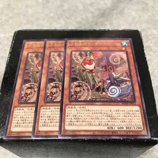 ふわんだりぃず×ろびーな レア3枚