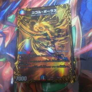 ニコルボーラス