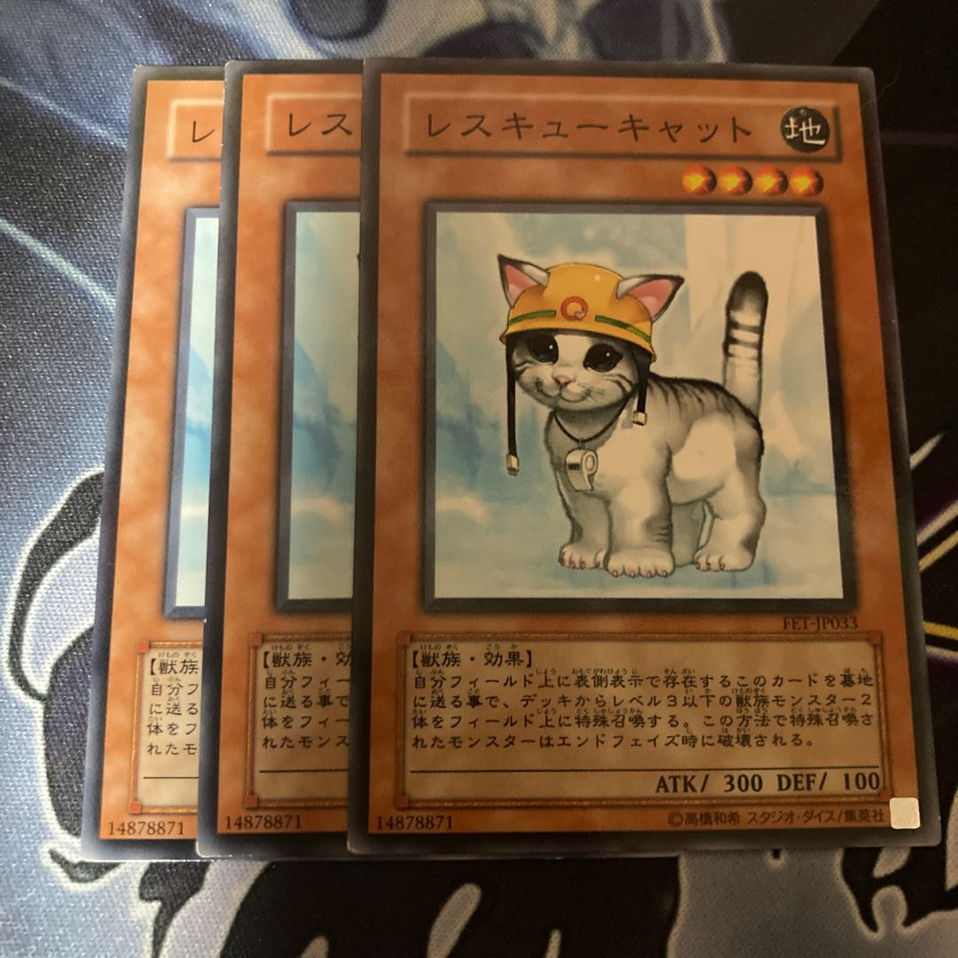 Rescue Cat Normal Set of 3