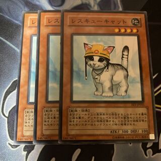 Rescue Cat Normal Set of 3