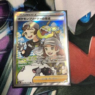 ポケモンブリーダーの育成 SR