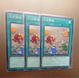 最新3枚　化石調査 ノーマル　トーナメントパック