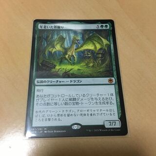 年老いた骨齧り」の激安通販 | magi