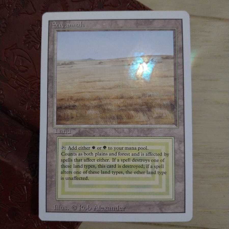 【美品】MTG savannah