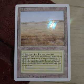 【美品】MTG savannah