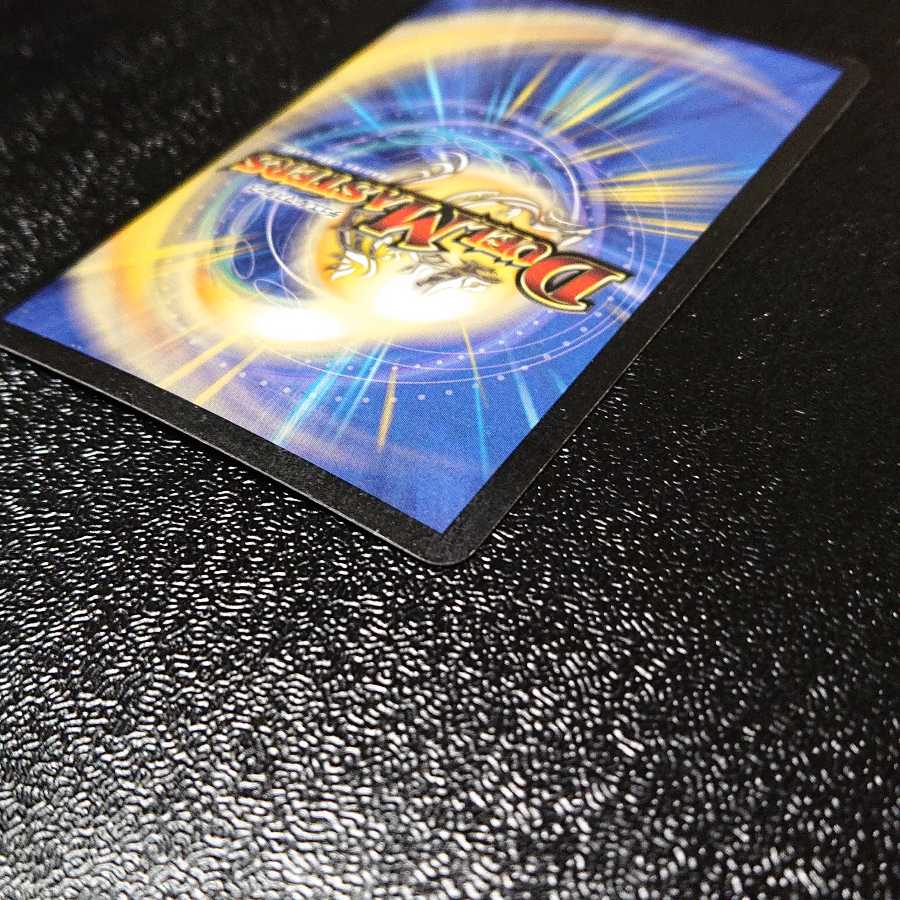 Ku Squirrel Tal Zweilancer