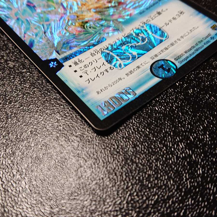 Ku Squirrel Tal Zweilancer