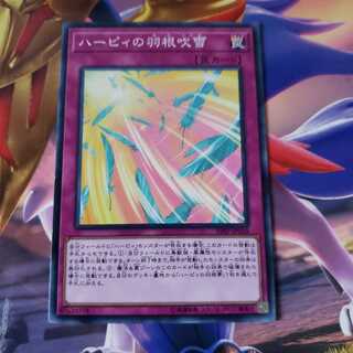 ハーピィの羽根吹雪 ノーマル