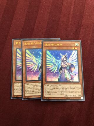 翌日配送　宣告者の神巫　3枚　遊戯王