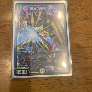 「雷光の聖騎士」ライトニング・ソード・パラディ