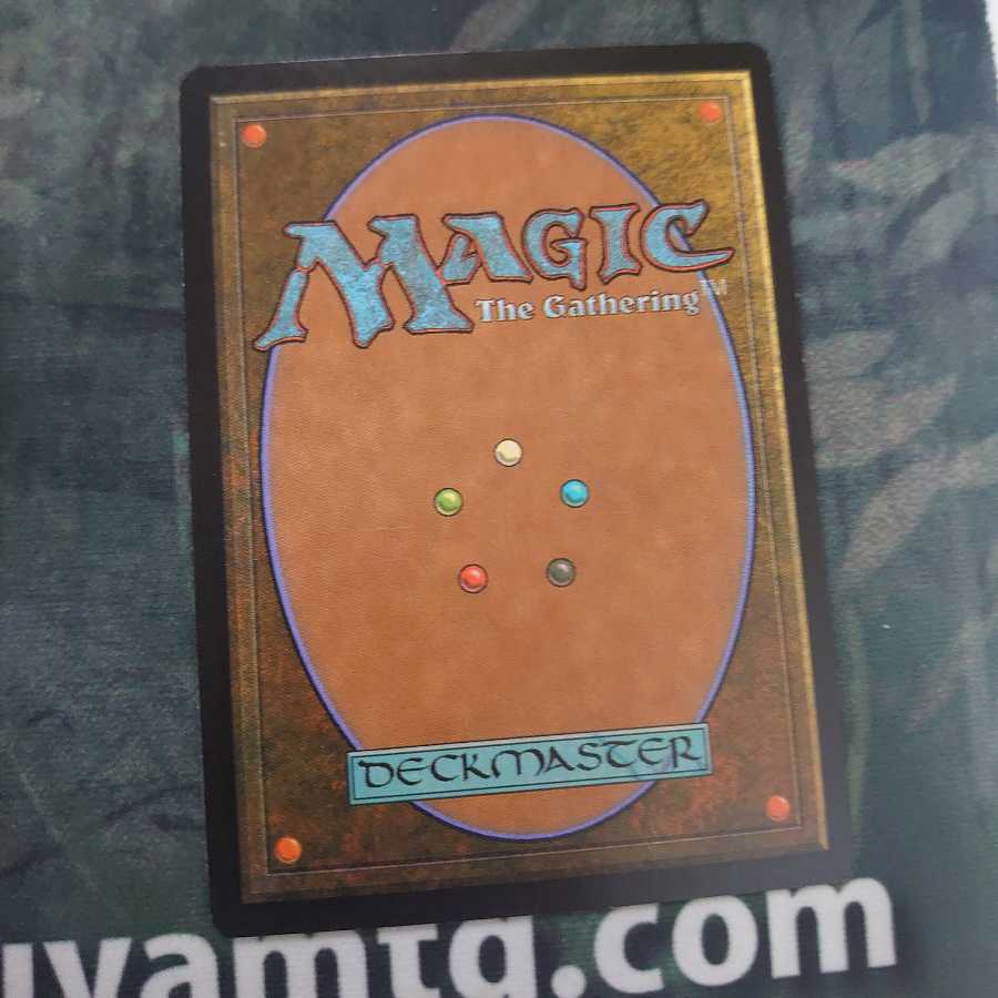 終止 Foil 日本語