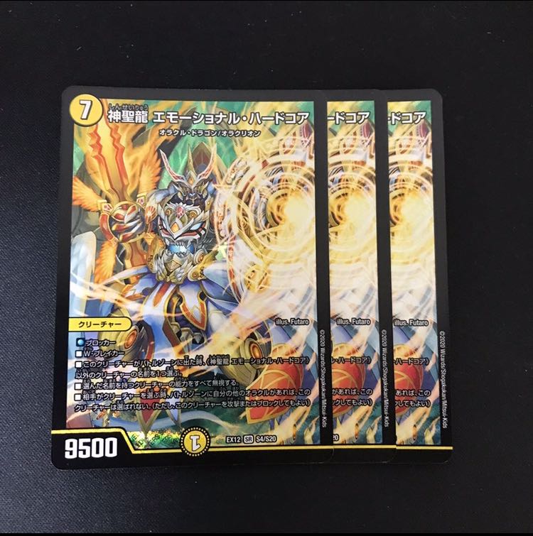 神聖龍 エモーショナル・ハードコア SR