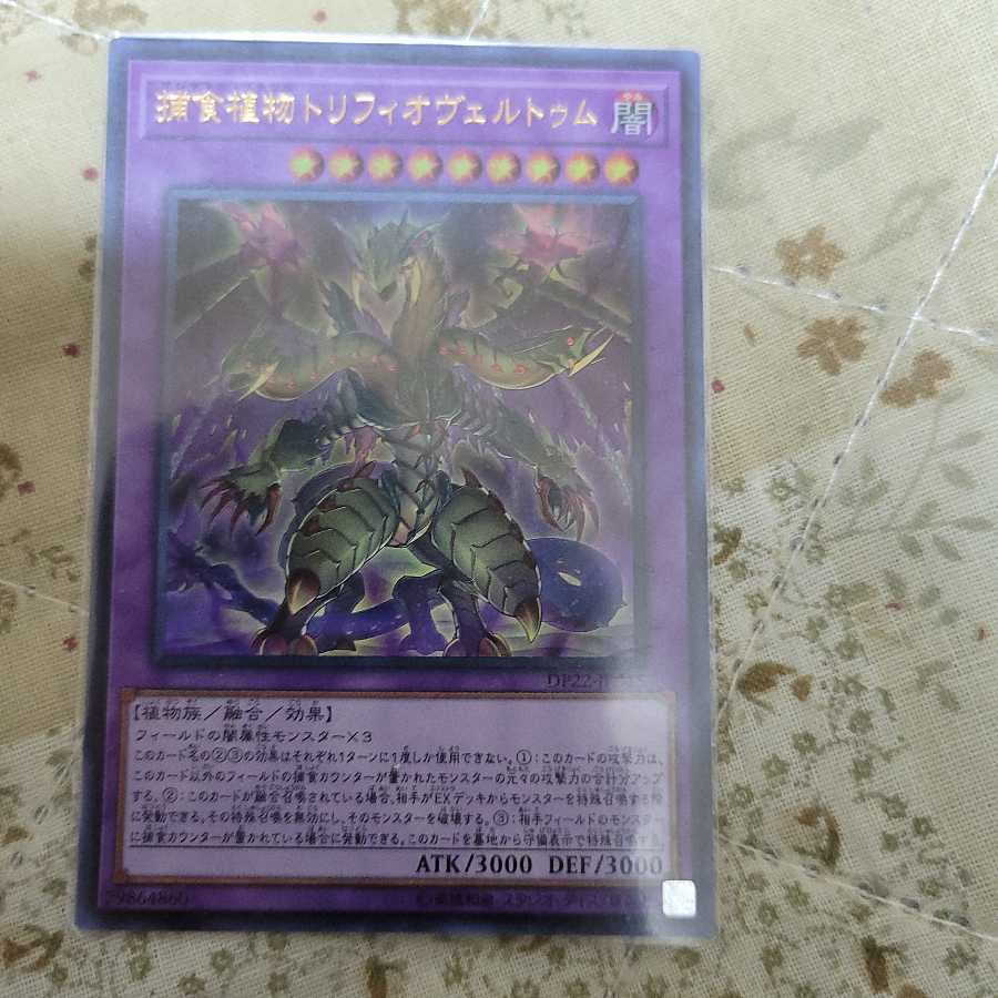 捕食植物トリフィオヴェルトゥム ウルトラレア